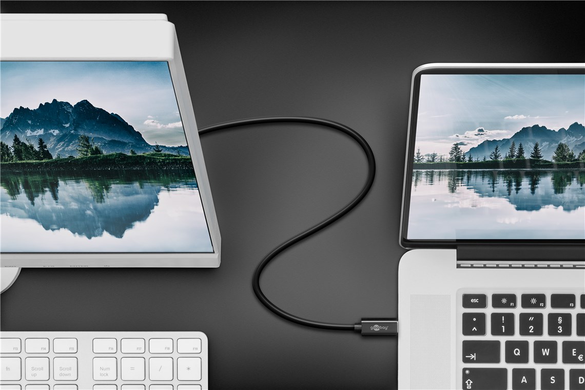 USB-C™- DisplayPort Adapterkabel 4k60Hz, 1,20 m, schwarz - Kabellänge 1.2 m - USB-C™-Stecker > DisplayPort-Stecker
