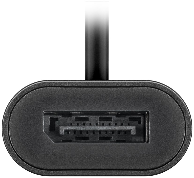 USB-C™ auf DisplayPort Adapter - Farbversion Schwarz - USB-C™-Stecker DisplayPort-Buchse