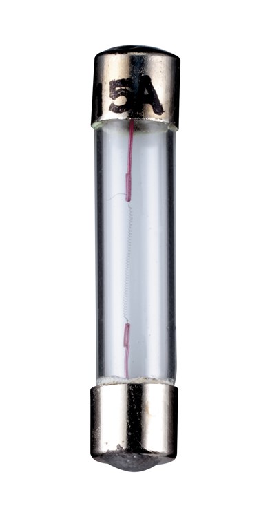 Pilotlampe, 1,6 W Pilotlampe, 1,6 W - Max. Leistungsaufnahme 1.6 W - 6,3 V (DC), 250 mA